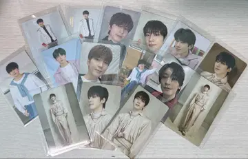 세븐틴 원우 트레이딩 카드 묶음 판매