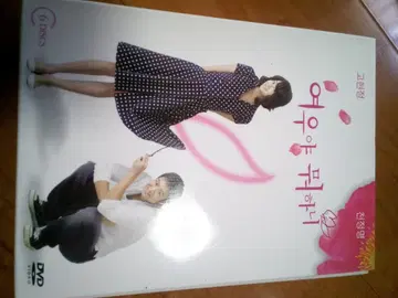 여우야 뭐하니? DVD 6장 세트 여우야 뭐하니?
