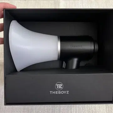 Theboyz 응원봉