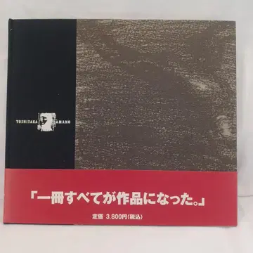 아마노 요시타카 화집 환상곡 a fantasia 구인사가 타츠노코 프로
