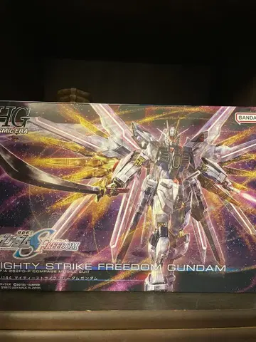 HG 마이티 스트라이크 프리덤 건담