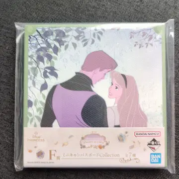 Disney Princess 미니 캔버스 보드