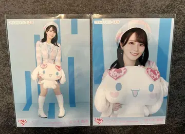 이코러브 사사키 마이카 브로마이드 시나모롤 콜라보 2025 세미 네이비