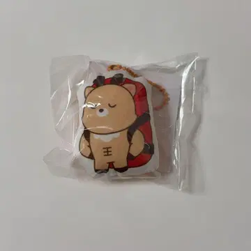 RIIZE 라이즈시 팝업 쿠션 키링 성찬