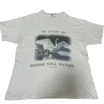 Hanes T셔츠 스완 90s'