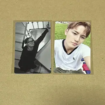 트레이딩 카드