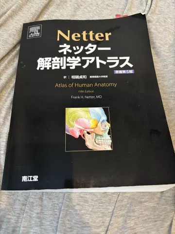 네터 해부학 아틀라스