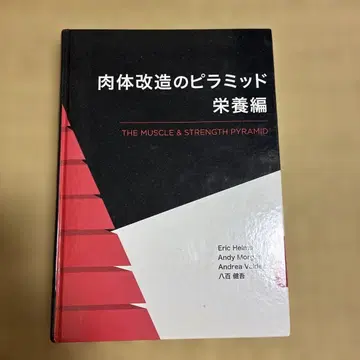 신체 개조의 피라미드 영양편