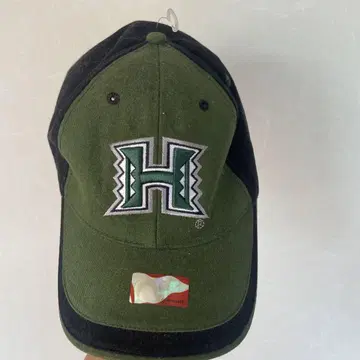 Hawaii 대학 로고 자수 야구 모자