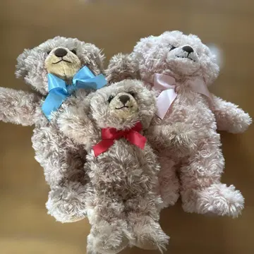 허니 테디베어 보이&걸 3체 세트 다이소