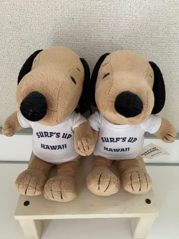 하와이 한정판 일광화상 SNOOPY