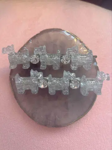 파메오 포즈