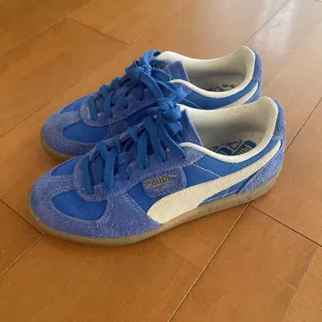PUMA 블루 스니커즈 23.5