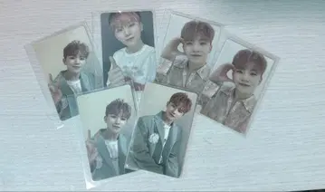 seventeen 춤추는 꽃잎 우지 트레이딩 카드
