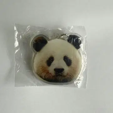 팬더 가챠 키타가와 (베이추안) 우에노데팬더 중추절