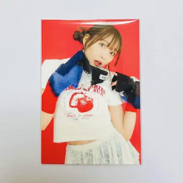 사이토 슈카 RabbitGirl 회장 한정판 트레이딩 카드