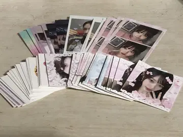 IVE 돔송 65장 묶음 판매