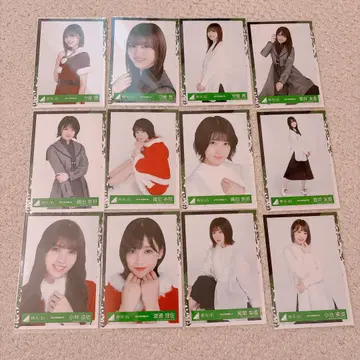 사카미치 시리즈 사진 12장 세트
