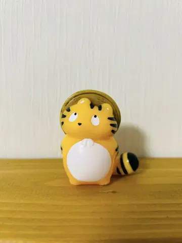 멍한 아기 너구리 시크릿