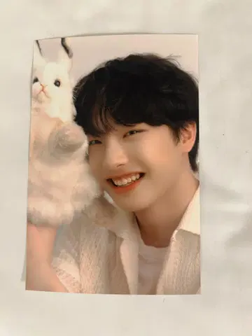 진위 사진 보플전