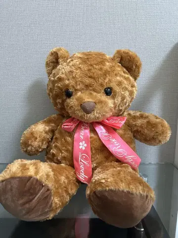 곰 봉제 인형