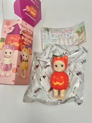 소니 엔젤 호박 패치 고양이 cat