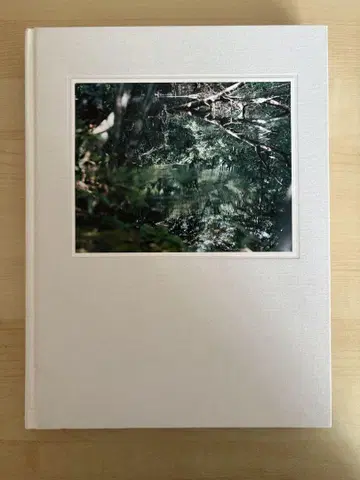 Risaku Suzuki Stream of consciousness