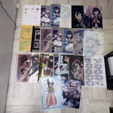 SSSS.GRIDMAN 타카라다 릿카 클리어 파일 설정화 세트