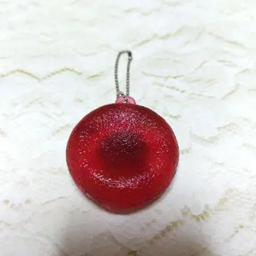 인간 세포 적혈구 가챠가챠