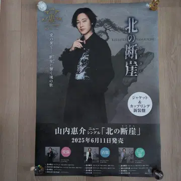 야마우치 케이스케 포스터 북쪽 벼랑