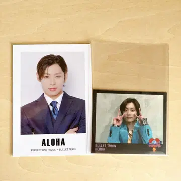 초특급 아로하 트레이딩 카드 & 스티커