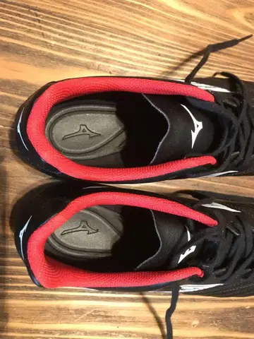 1회 사용 Mizuno 트레이닝 슈즈 모나르시다 25.5cm