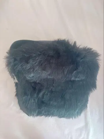 파메오 포즈 퍼 백