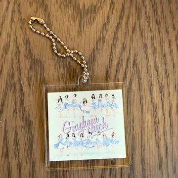 AKB48 투어 CD 구매 혜택 아크릴 키링 깅엄 체크