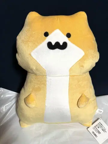 오문구토잇쇼 쫀득쫀득 봉제 인형 XL 프리미엄 새끼 고양이
