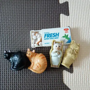 고양이 세트 판매