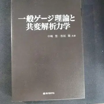 일반 게이지 이론과 공변 해석 역학