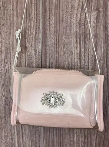 ZARA 핑크 클리어 숄더백