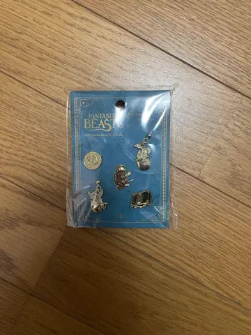 신비한 동물 사전 귀걸이 세트