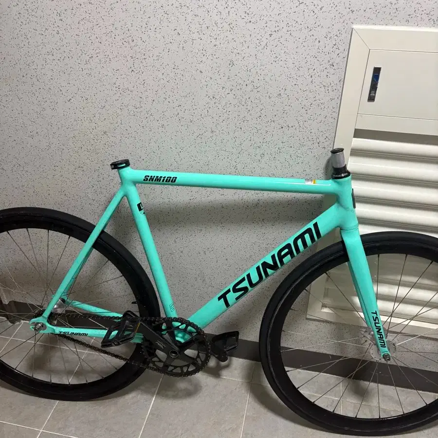Tsunami SNM100 Chameleon Frame on Bunjang Global Site.