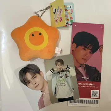TREASURE 요시 포치타