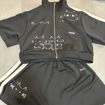 hauls 저지 셋업