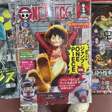 [ 새상품 미개봉 ] ONE PIECE magazine 특집