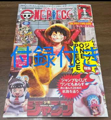 ONE PIECE magazine 특집