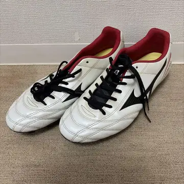 미즈노 모나르시다 27.5