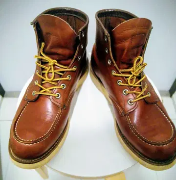 [ US 9 1/2 ] REDWING 9106 아이리쉬 세터