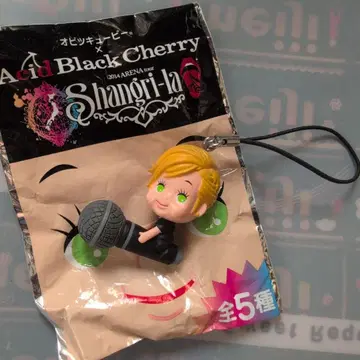 Acid Black Cherry 오비츠큐피 마이크