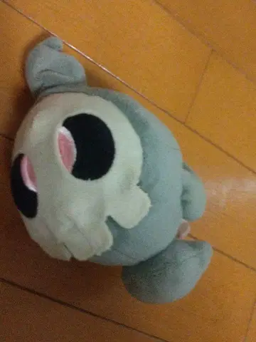 포켓몬 fit 봉제 인형 한정판 해골몽 포켓몬 센터에서 구매