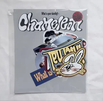 ASTRO 윤산하 사나 chameleon POPUP 스티커