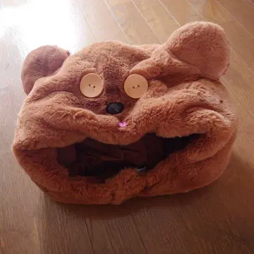 팀 팬캡
